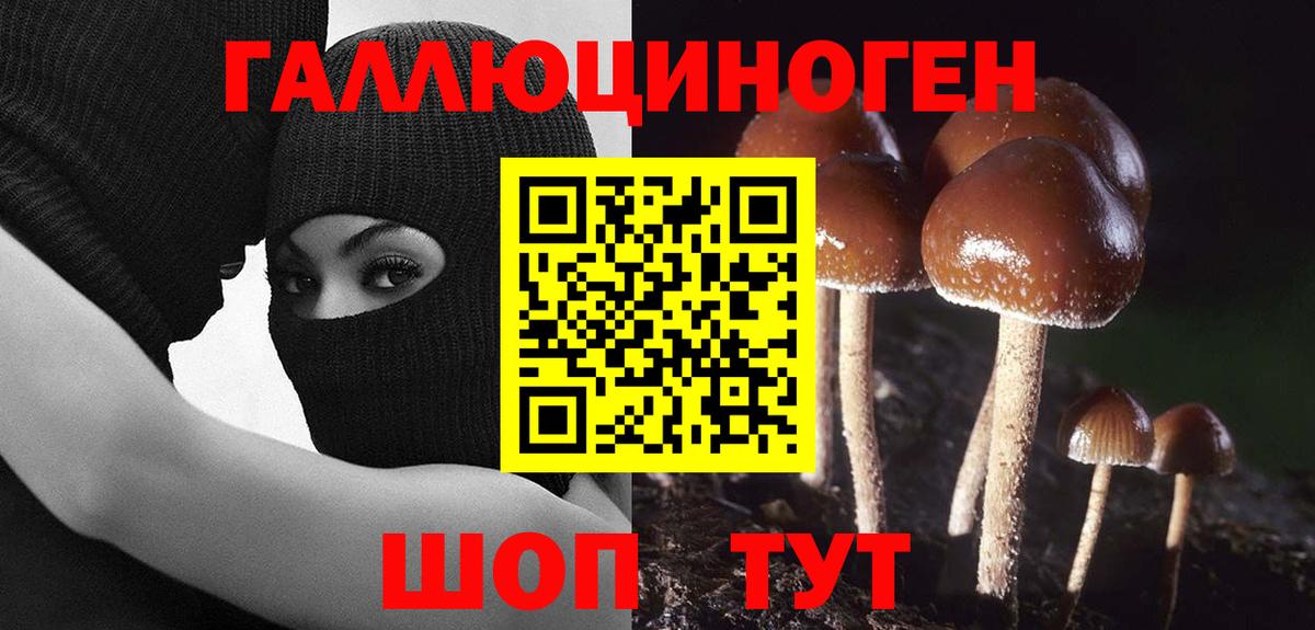 Амурск  купить закладку  Вход с VPN  Псилоцибиновые грибы мицелий 