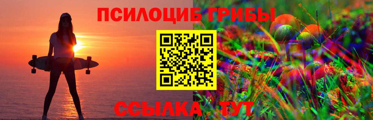 Галлюциногенные грибы Psilocybine cubensis Амурск